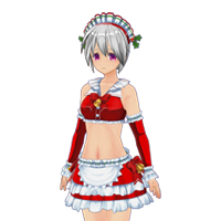 Santa Maid Outfit