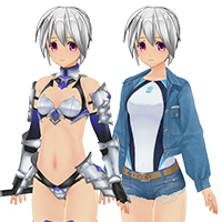 Attractive Armor & Swim Costume Set