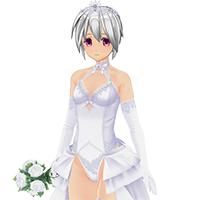 Bashful Wedding Dress Set