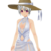 Celebrity Summer Dress Set