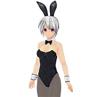 Bunny girl set